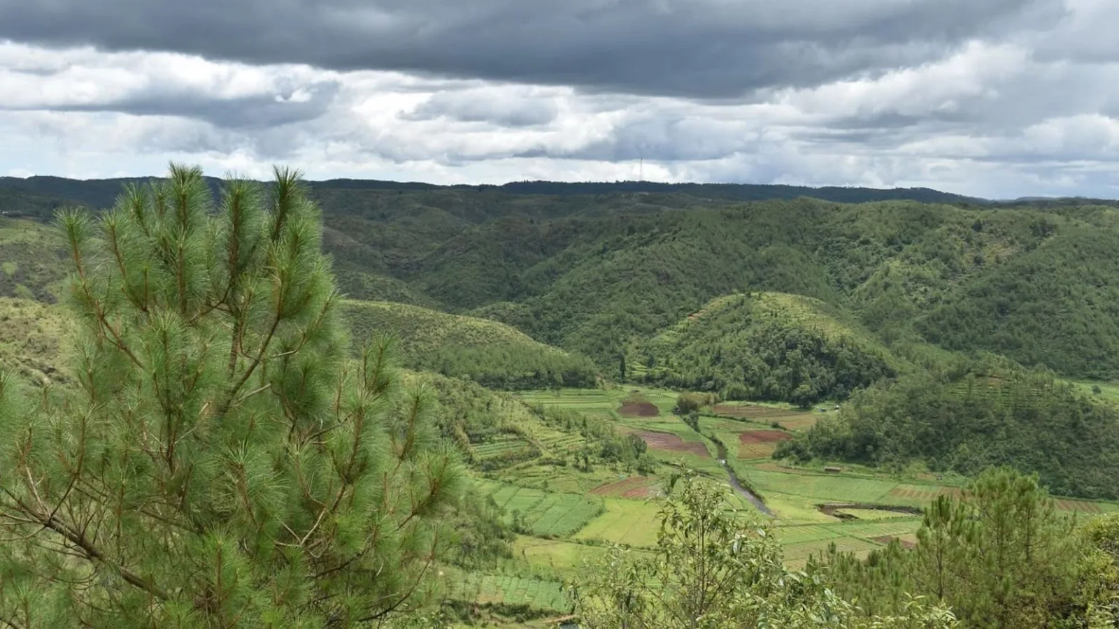 The conflict led by U Tirot Sing against the British began in the Khasi Hills: 2015 landscape of Khasi Hills and Mawphlang sacred forest; geographic setting of Khasi resistance associated with U Tirot Sing from 1829, not a battlefield photograph.