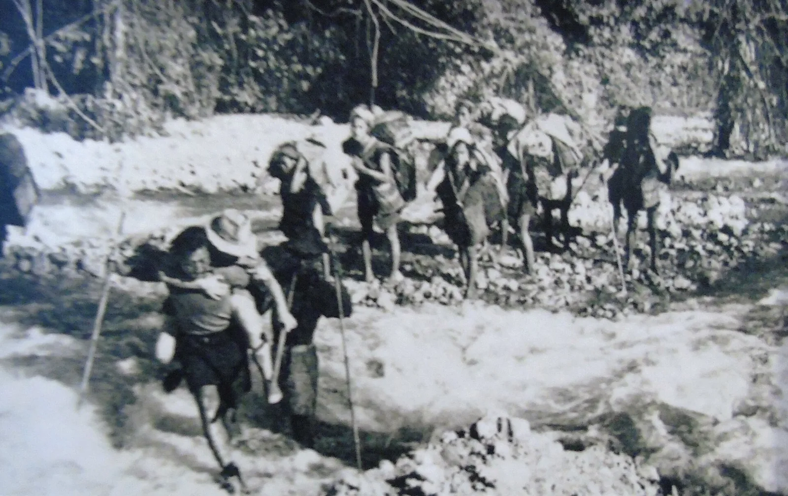 An earthquake and floods in Assam, India kill 574 and leave 5,000,000 homeless: Archival photograph associated with the destructive 1950 Assam earthquake, attributed to Kingdon-Ward and held by RIWATCH Museum.